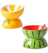 2PCS Ceramic Raised Cat Bowl Anti Vomiting Elevated Tilted Cat Food &amp; Water Bowls Stress Free Pet...