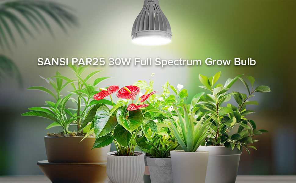 SANSI PAR25 30W Full Spectrum Grow Bulb
