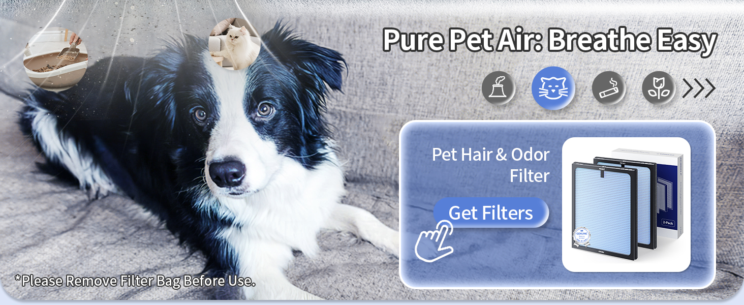 air purifier