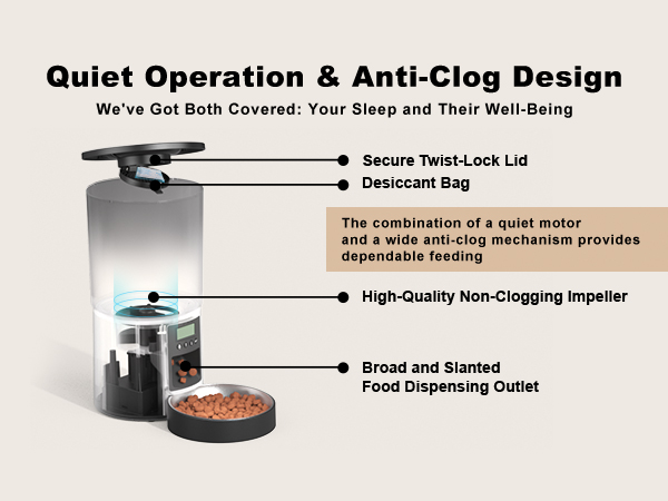 cat timed feeder dry food