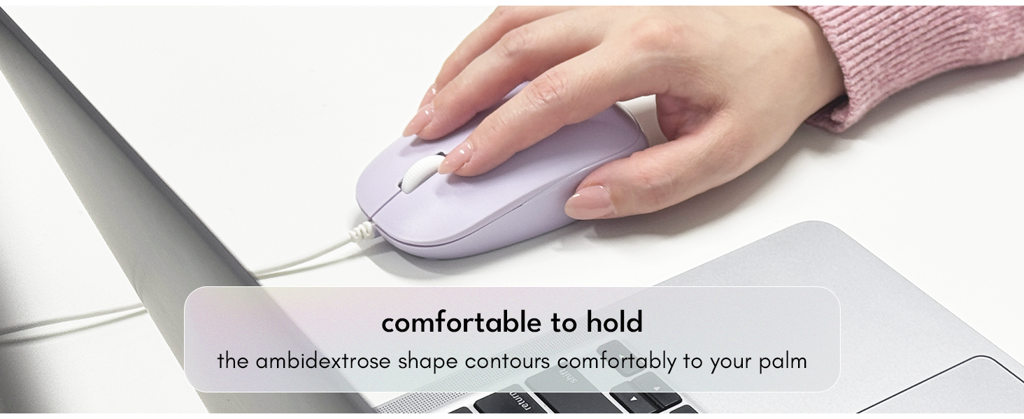 mouse