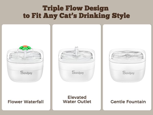 Automatic Cat Feeder