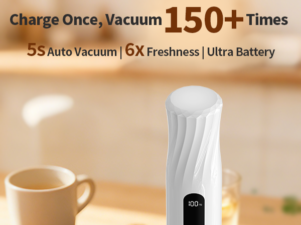 handheld vacuum sealer