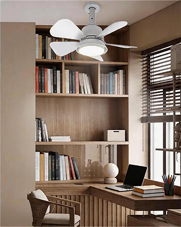 Fan Light