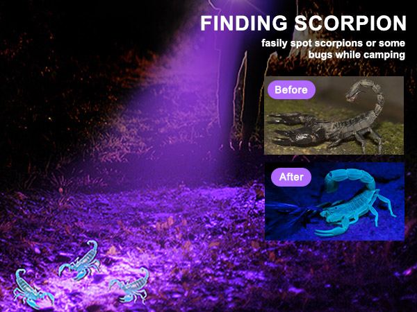 flashlight flashlights high rechargeable lumens led powered battery flash bright powerful