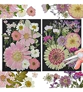CONVELIFE White Dried Pressed Flowers, 40Pcs Real Nature Flowers Set with Tweezers, Pressed Flowe...