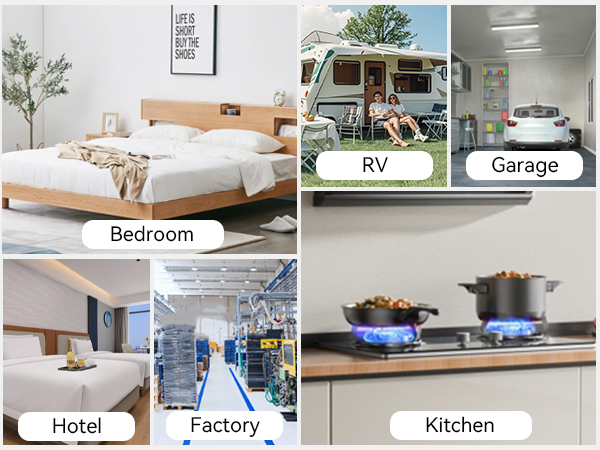 Gas &amp;amp; Carbon Monoxide Detector