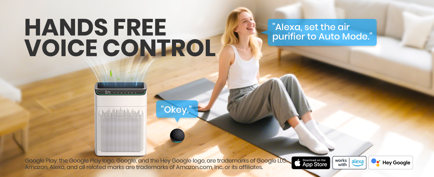 air purifier