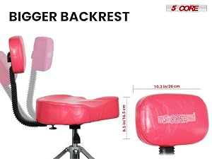 DS CH PNK REST-LVR
