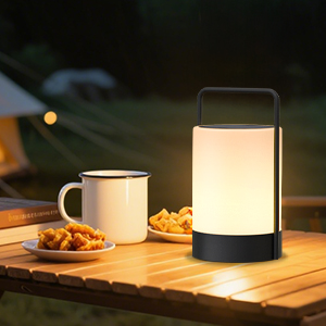 Solar Table Lamp