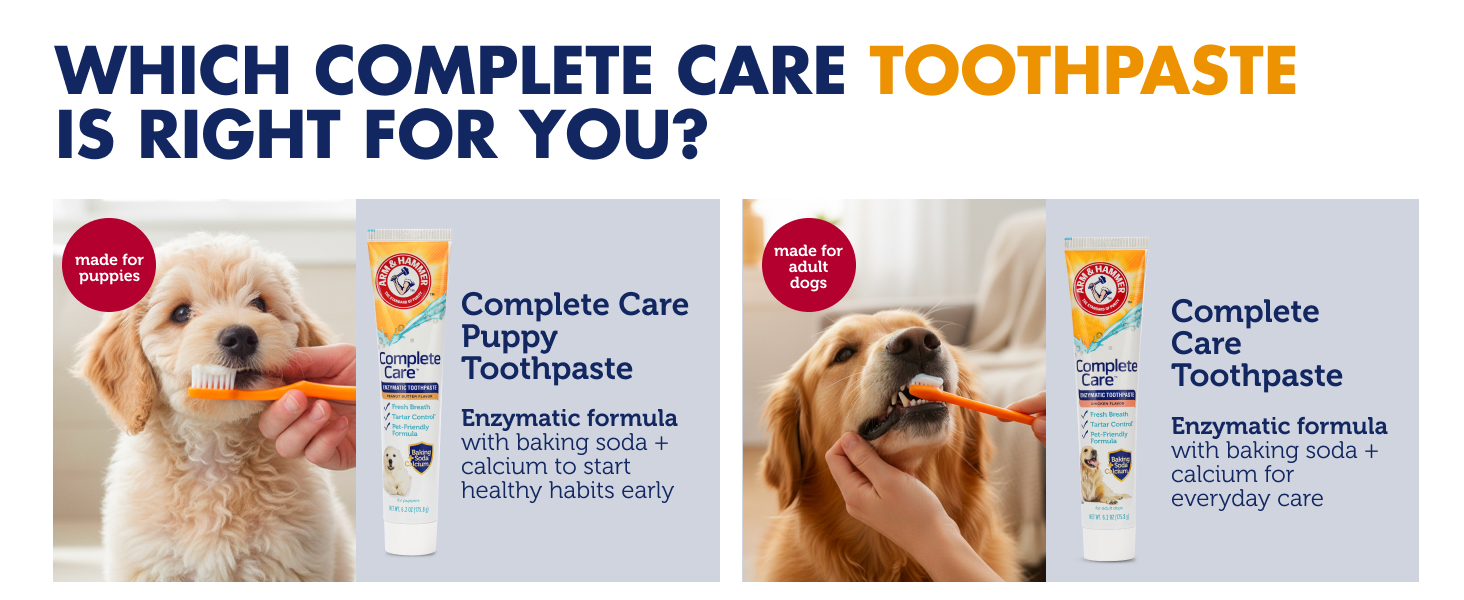 Which complete care toothpaste is right for you?