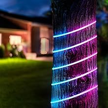 Smart Neon Flex Light wrapped around a tree and emitting blue and pink hue.