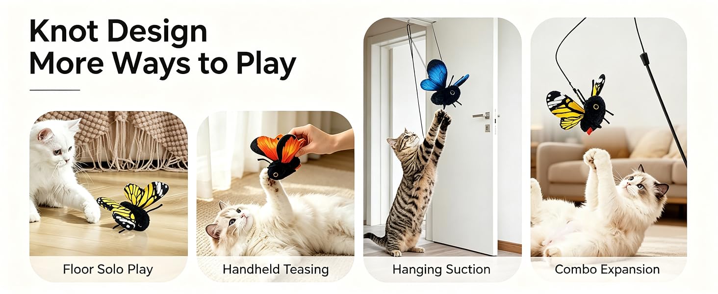 cat toys