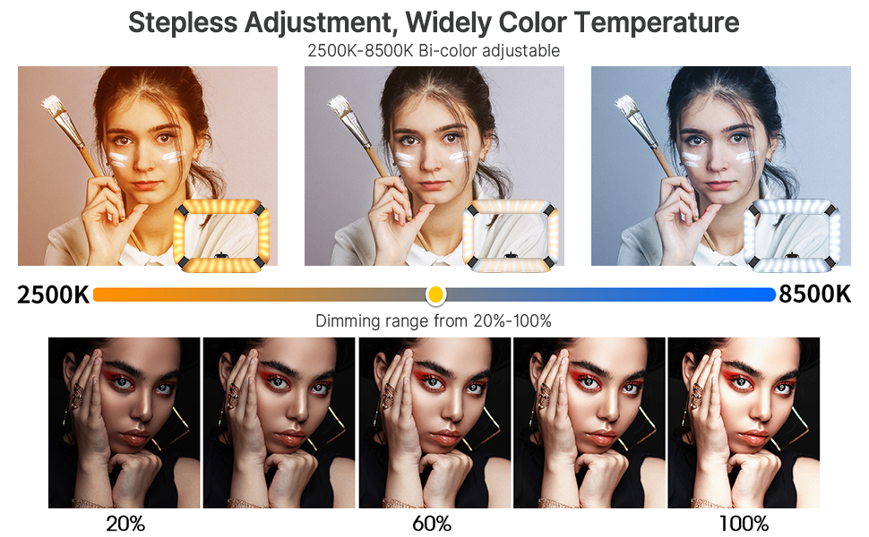 smartphone video rig