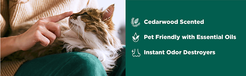 Cedarwood Scented Pet Friendly Essential Oils 