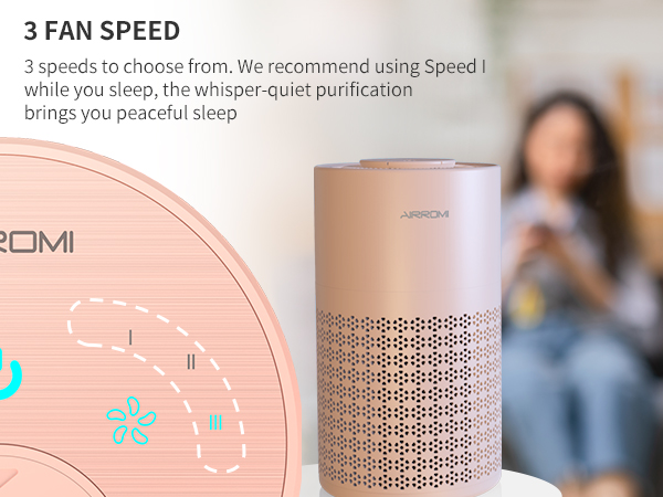 air purifiers for home large room pets