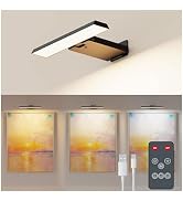 Koopala LED Picture Lights with 6000mAH Rechargeable Battery Powered, CRI=95 Cordless Over Painti...