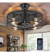 Depuley Outdoor Ceiling Fan with Light: 20" Caged Ceiling Fans with Remote App Control for Patio ...