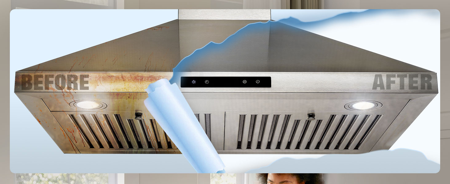 steam cleaner 