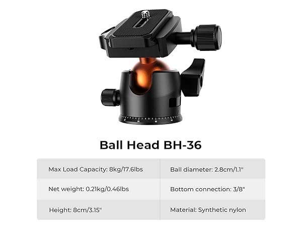 ball head