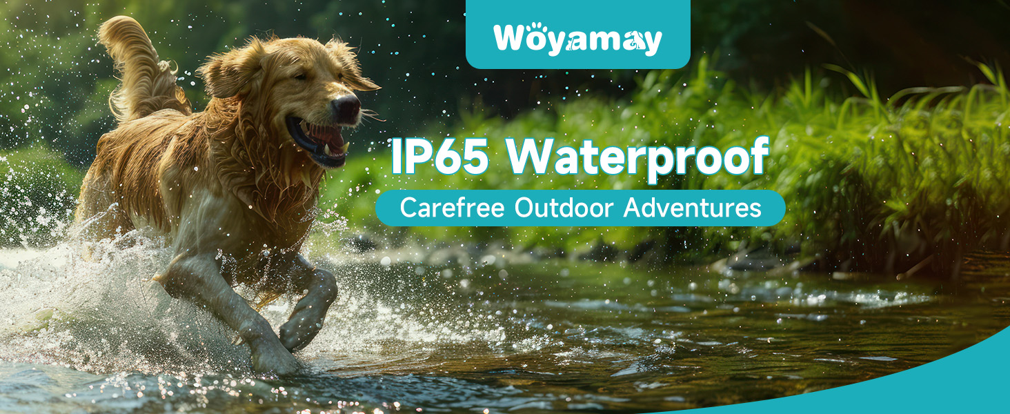 pet tracker