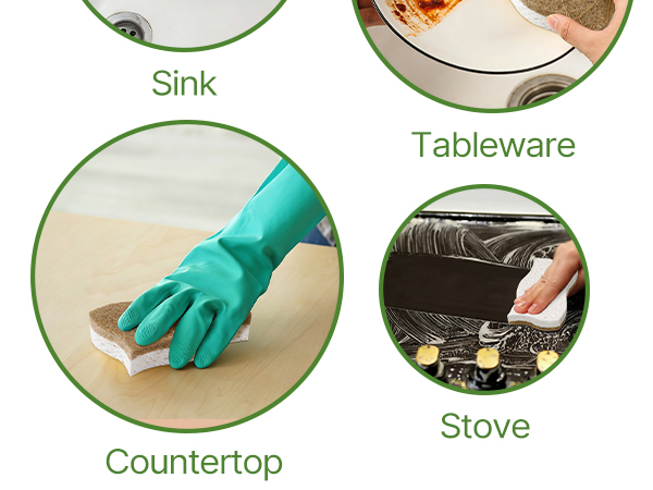 kitchen sponge