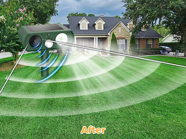 skunk repellent for yard