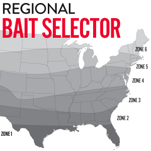Regional Bait Selector