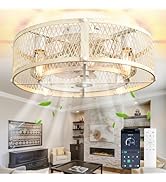 Depuley Cage Ceiling Fan with Light: Cement Flush Mount Ceiling Fans with Remote - 20in Rubbed Ce...