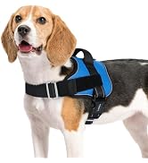 rabbitgoo Dog Harness Medium Sized, Easy On Pet Vest with One Buckle, No Pull Adjustable Service ...