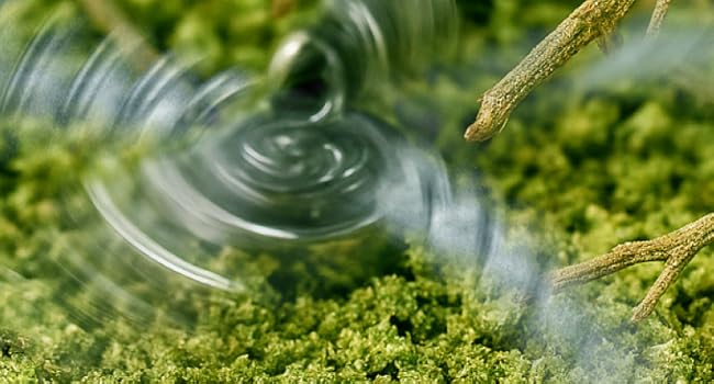 Mamba Whip Electric Herb Grinder for Kitchen Herbs and Spices