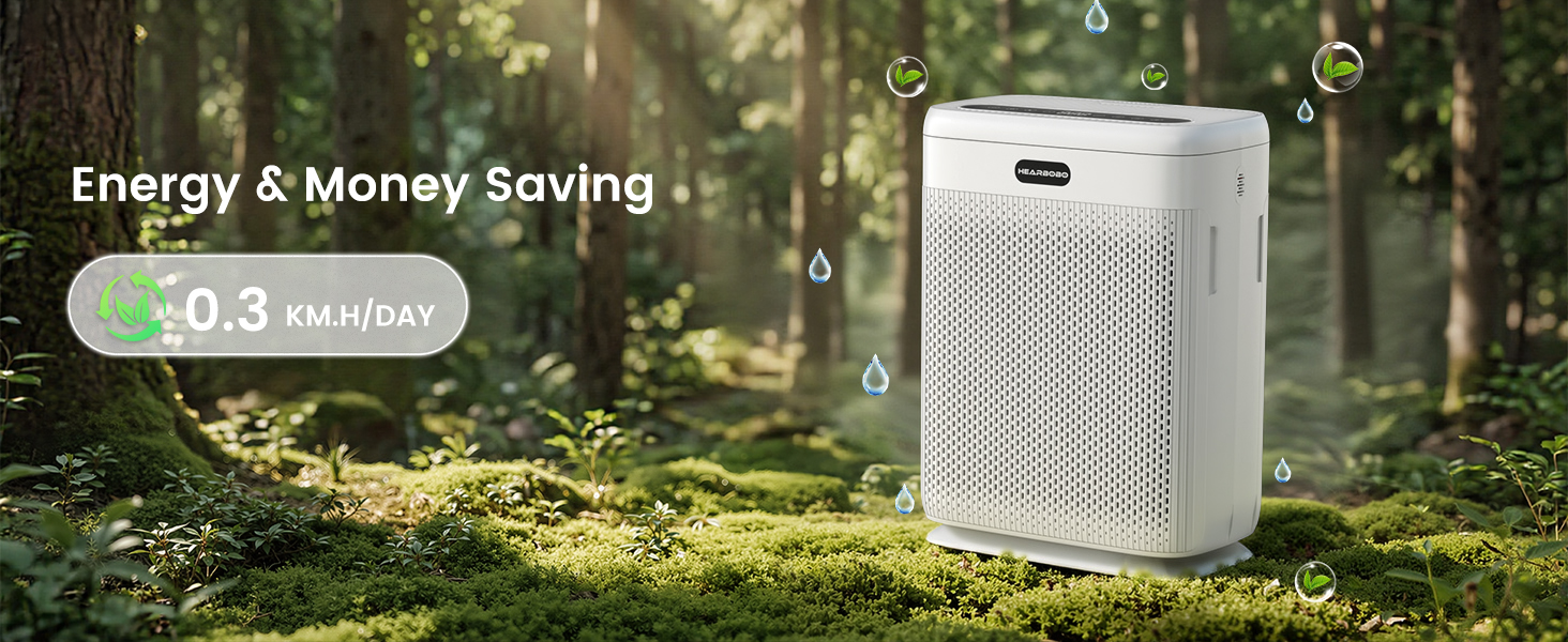 air purifiers for large rooms