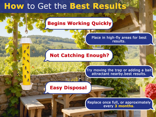 fly traps outdoor