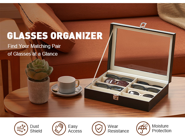 Eyeglasses Eyewear Display Case