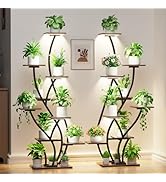 Plant Stand Indoor with Grow Lights - Lighted Plant Shelf Indoor Tall, 61