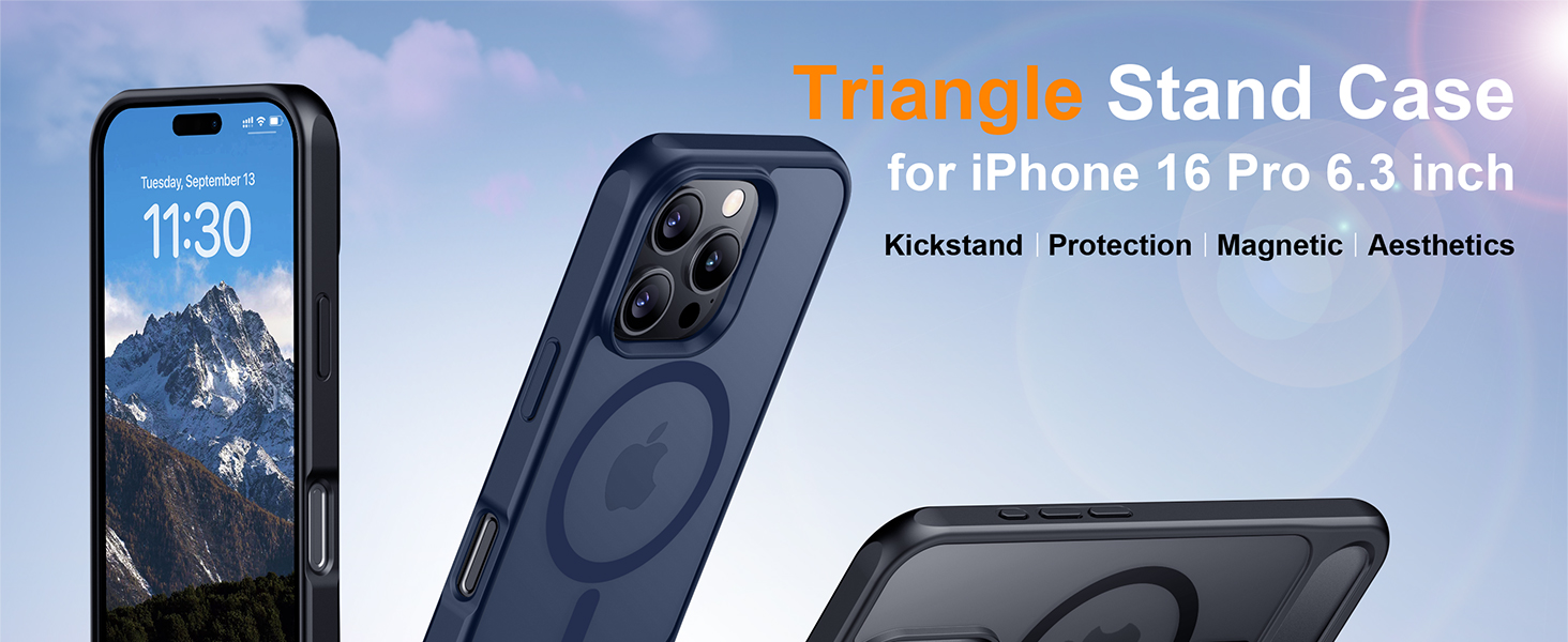 iPhone 16 Pro Case