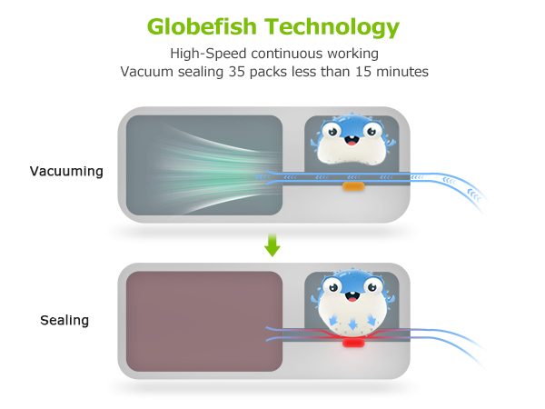 vacuum sealer machine