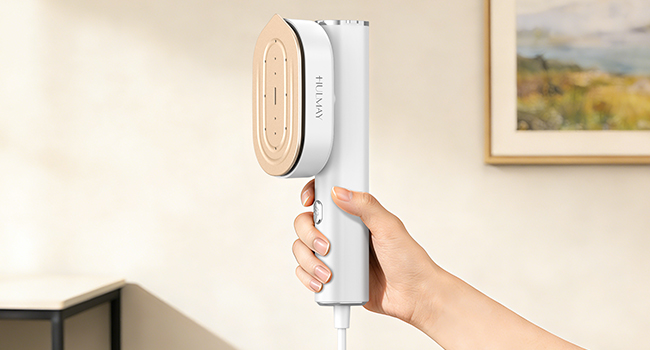 hand steamer for clothes