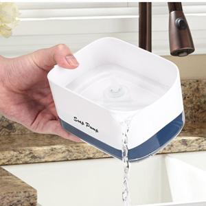 soap dispenser for kitchen sink