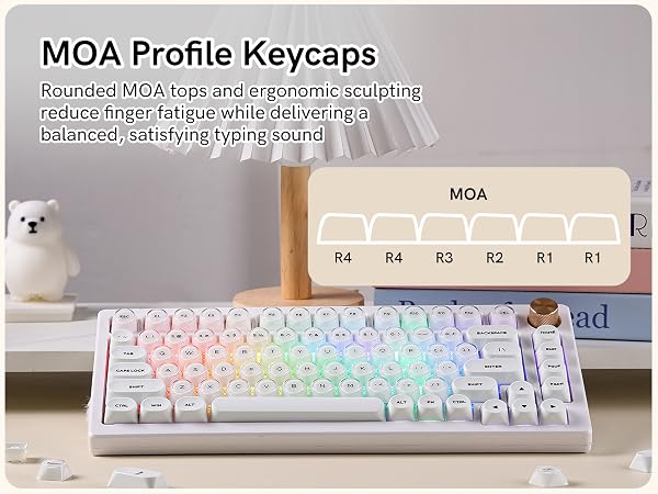Ergonomic MOA Profile