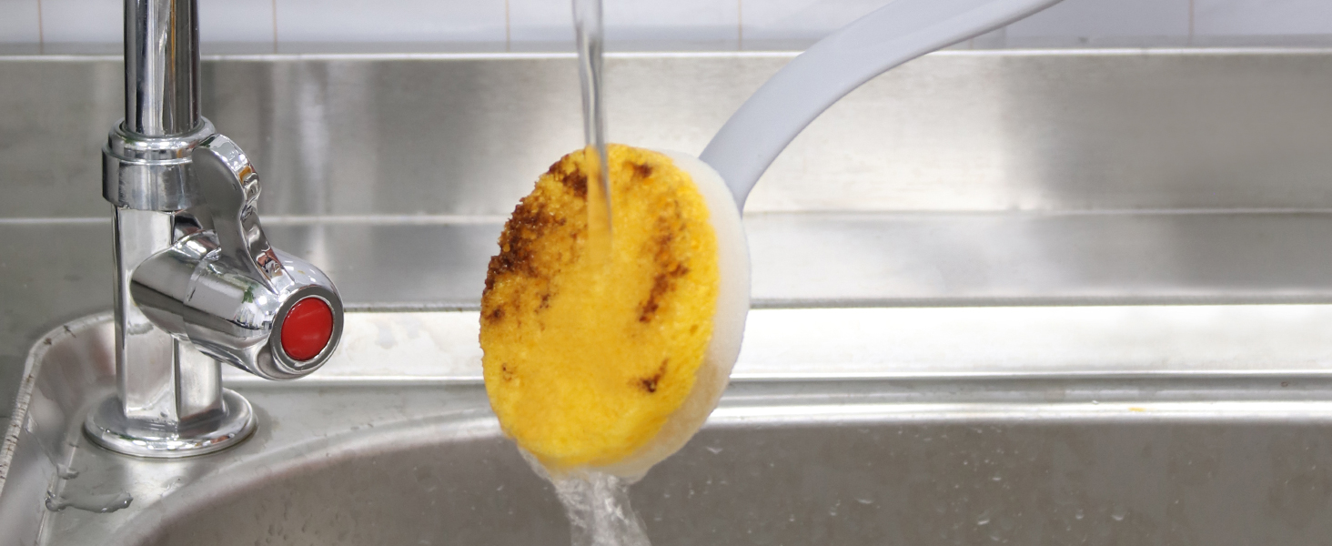 kitchen sponge