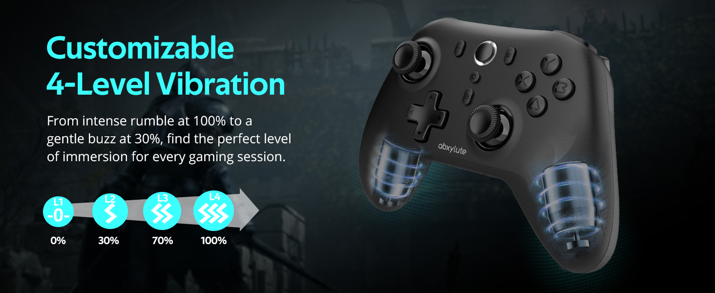 C6 wireless controller