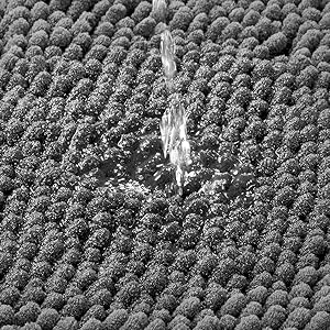 bath mats for bathroom non slip machine washable rug bath tub mat bathroom rug sets black bath mat