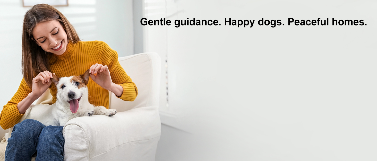 anti barking device for dogs