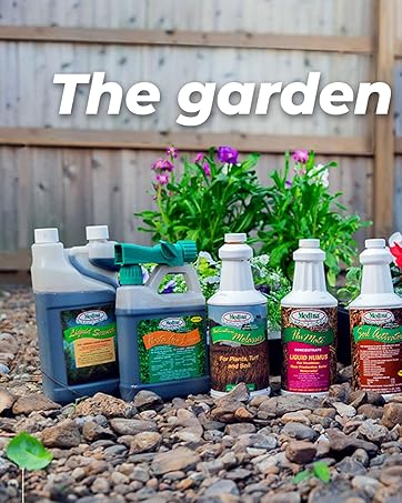 revive vitamina liquid humic foliage super thrive lawn treatment granular strawberry bloom stimulant