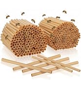 DOITOOL 200 Pcs Natural Reed Bee Tubes Bee House Tubes Refill Mason Tube Replacements for DIY Bee...