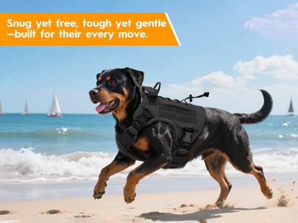 Adjustable dog harness for Rottweiler Golden Retriever Labrador Bulldog French Bulldog and more.