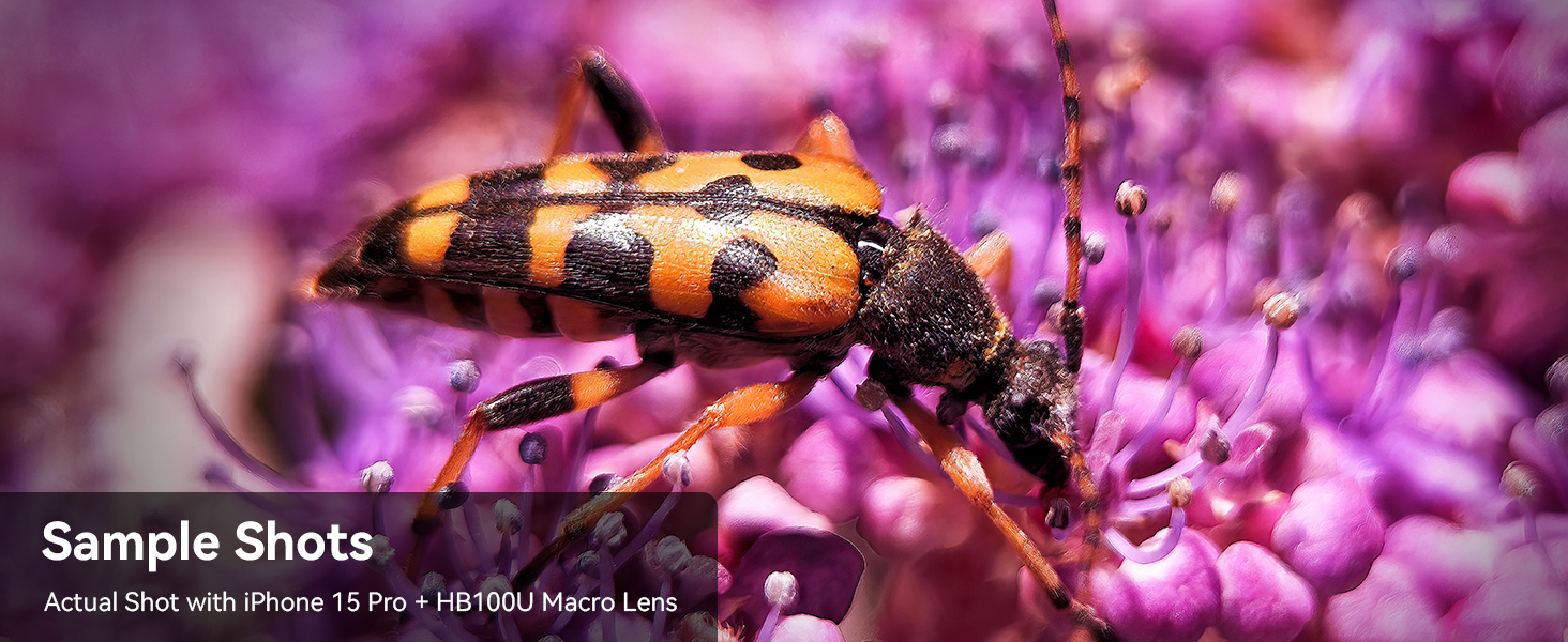 HB100U Upgraded Professional Macro Lens