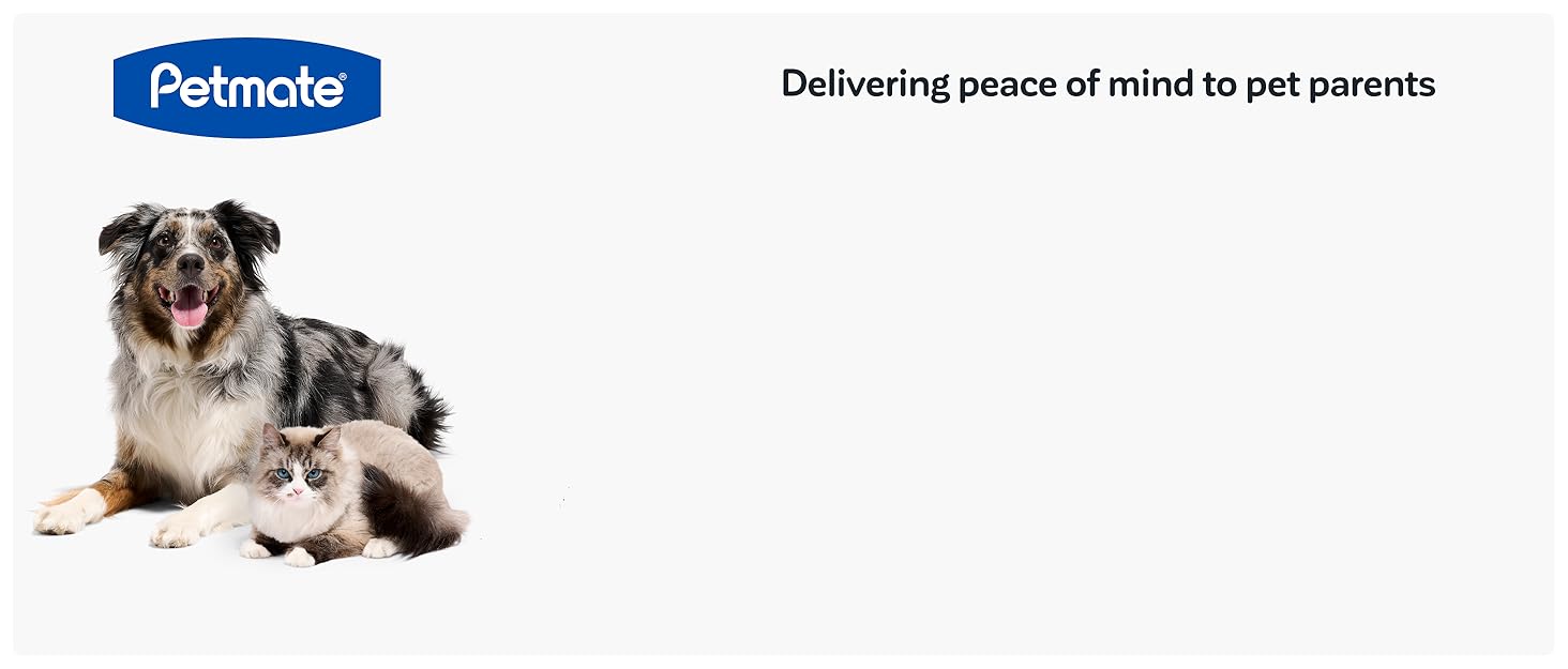 Petmate: Delivering peace of mind to pet parents