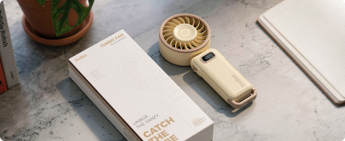 beige handheld fan gifts women